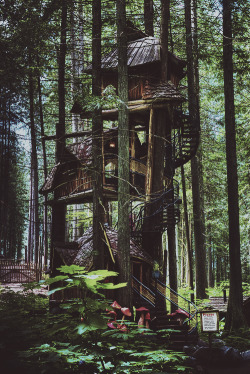 wolf-teeth:  Tallest Tree House In BC (by Keith Watson Photography) 