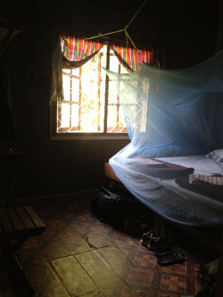 outlivingthebastards:  Staying and volunteering at Vang Vieng Organic Farm until we feel the urge to move again. View of our quaint room overlooking the Mulberry field.