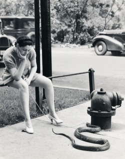 Burlesque dancer Zorita, feeds her pet snake Elmer, New York, 1952.