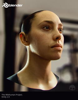alexnavi:  Some texturing and shading test on Emily 2.1 model from The Wikihuman Project. I think it looks pretty believable :) hope you like it. 