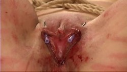 pussymodsgaloreBDSM pain games, needle play. One way to keep her inner labia spread is simply to pin them open with needles! What a disappointingly small photo!
