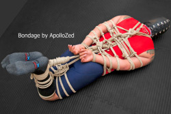 apollozed:OctoPup hogtied, hooded, and gagged