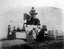 Jumping horse, 1880.