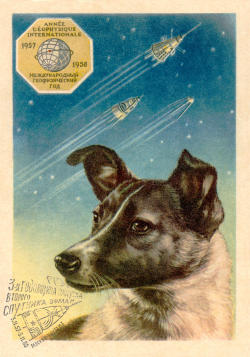 enrique262:  Laika (Russian: Лайка; c. 1954 – November 3, 1957) was a Soviet space dog who became one of the first animals in space, and the first animal to orbit the Earth. Laika, a stray dog from the streets of Moscow, was selected to be the