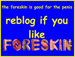 itsjustme11610:love foreskin!