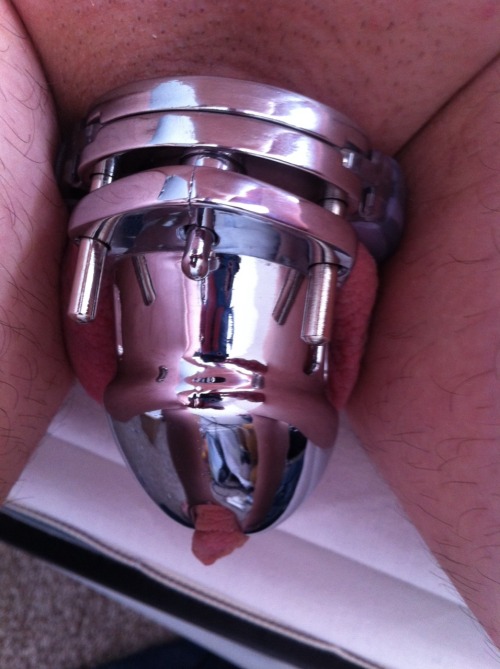 chastityprotector:  chastitylad:  Showered, Shaved, and re locked… Chastity game time must be coming to an end soon!!! I can’t wait to have a wank… I think there’s currently about a week left provided nobody else adds any time :)  Great locking