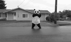  Sad Panda 