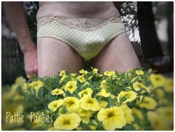 pattiespics:   It’s Spring!  Time to go outside in your panties and play!  You can peek at more of Pattie’s Panties, Bras  and Sissy Dick  here   ~~  http://pattiespics.tumblr.com/  Today, June 21 is the Summer Solstice  ~ go out side and play