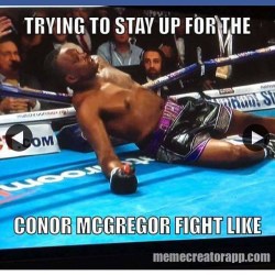 😂😂😂😂😂😂 #boxing #anthonyjoshua #knockout #conormcgregor #mma #cagefighting #winning #epic #badass by leah__hanna