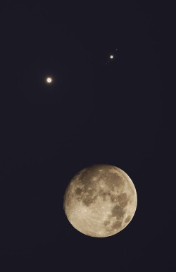astronomyblog: Conjunction Full Moon, Venus and Jupiter Image credit:  Wang Letian   
