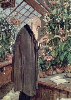 Pre-Raphaelisme:  Charles Robert Darwin By John Maler Collier 