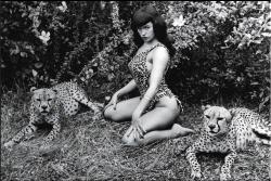 Bettie Page plays with her kitties All VintageBooty followers get 11% off the entire inventory at checkout with the coupon code: BOOTYhttps://www.etsy.com/shop/MissStoryFineArts