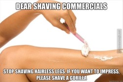 foreverdai:  Queridos anuncios de cuchillas de afeitar: Por favor, dejad de afeitar piernas sin pelo, si queréis impresionar, por favor, afeitad a un gorila. 