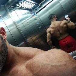 muscular guys, bodybuilders and my states of soul.