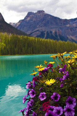 touchdisky:  Emerald Lake, British Columbia, Canada by AngeStar 