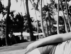 simplyelvis:  Elvis Presley at the Coco Palms resort in Wailua, Kauai, Hawaii, May 1968. 