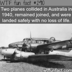 wtf-fun-factss:  Awesome plane crash -  WTF fun facts
