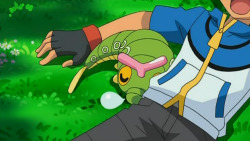 commanderpigg:   gratuitous screenshots of ash sleeping with caterpie because that’s just the type of person i am  