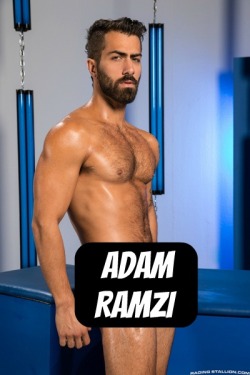 ADAM RAMZI at RagingStallion - CLICK THIS TEXT to see the NSFW original.  More men here: http://bit.ly/adultvideomen