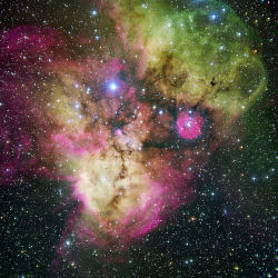 the-wolf-and-moon:    NGC 2467, Skull and