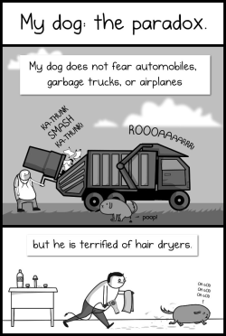 starbiistars:  phantomrose96:      younggt:  &ldquo;birds and squirrels and earth and sky&rdquo;      Please don’t reblog unsourced works. This is from The Oatmeal (along with other great comics) My dog: the paradox   I teared up a little..