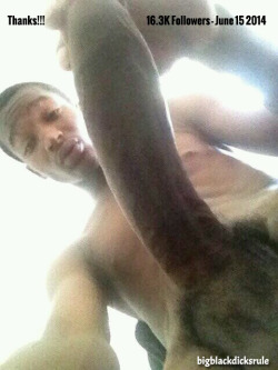 bigblackdicksrule:  #bigblackdick #bigblackdicksrule - 16.3k &amp; growing. thanks to all followers and lovers of big black dick, appreciate it &amp; keep spreading the word!!!       (via TumbleOn)