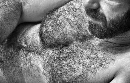 Porn photo Hairy is my favorite