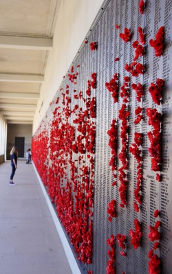 gsummers:  Today marks the 95th anniversary since the end of World War 1. Please take a moment to honour all those who fought, and all those who lost their lives.  Photo by Georgia Summers 