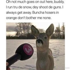 hostess-withthe-mostest: dinahevans:   hostess-withthe-mostest:   dinahevans:  That’s not a deer. It’s a donkey. So this caption makes zero sense   …can’t tell if sarcasm   I’m being serious. Look at it it’s a fucking donkey.   please look