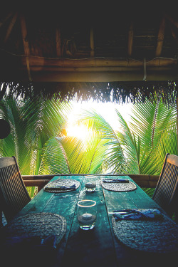 wearevanity:  A lunch in Paradise © 