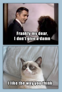 Grumpy Cat is in accord  ;)