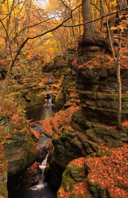 memewhore:opticallyaroused: Pewits Nest, Near Devil’s Lake, Wisconsin   O_O  I want to go to there.