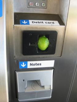 nazmatik:  &ldquo;hold up let me put this fucking lime in that ATM real quick&rdquo;   myheadfeelslikeafrisbee