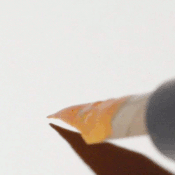 winchester101:  lorrettathorne:  watercolourpaint:  It’s just gold ink and a nib “calligraphy” pen  please tag your porn  i watched this for like 10 minuets  