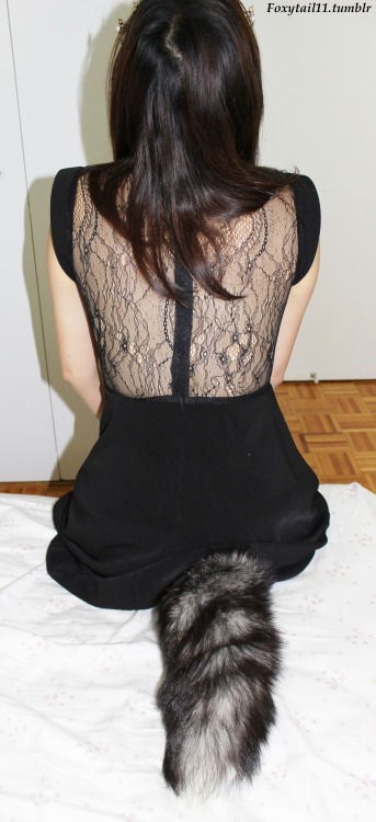 Master and I went to a masquerade party yesterday and I wanted to share some pics of my outfit.  I was wearing my brand new silver fox tail because I thought it went well with my dress hehe.  More to come soon! My fox tail sets www.foxytail11.tumblr.com