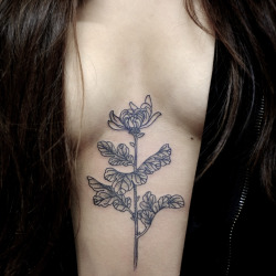 modoedoedoe:  eradicatedfairy:  this is kind of like the tulip tattoo i want to get, except i want it on the side of my boob not in the middle  X 