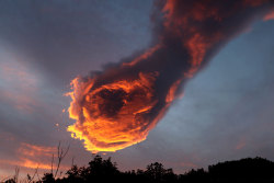 stayradnotsad:  salahmah:  On Monday, the Portuguese were stunned by a terrifying cloud over the island of Madeira. The bright orange formation looked as if it was a burning clenched fist  You know someone fucked up when you see God’s fist in the sky