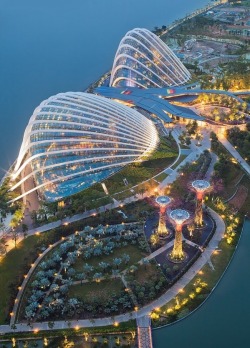 The future is now (Gardens by the Bay, Singapore)