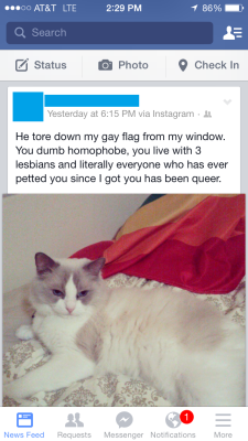 gaytwunky:  is-nomine-vacans:   casualhibiscus: My friend posted this the other day and I had to share it. Her cat looks so damn pleased with himself, it’s great.  The question is: why this person has gay pride flag in her window   well man i’ll give