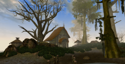 shieldsthis:-The Elder Scrolls III: Morrowind-a shack just outside Seyda Neen