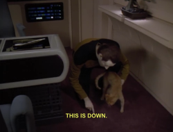 raptorific:  can’t this show just be nothing but data training cats 