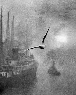 attropin:  Early Morning on the River, London Bridge, 1935 By Bill Brandt