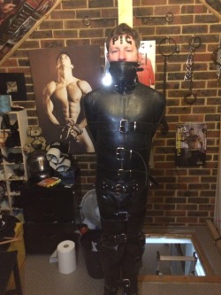 docbondage:  jamesbondagesx:  Rubber pig cuffed and strapped tightly to the post  Attica 