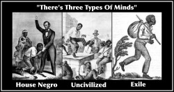 revengeofthelostboys:  acceber74:  laurthargic:  knowledgeequalsblackpower:  realsmurk:  which one are you??  Unfair. I don’t like this at all. Don’t use our ancestors memories this way.  As if all house slaves had the same mind set. House negroes