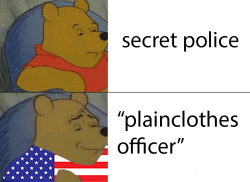 corvid-420:  Since learning about some of the details behind Breonna Taylor’s late-night murder by pigs, it’s important to remember that “plain-clothes officer” is an American euphemism for secret police.