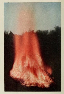 neshamama: bonfire (1910s) / mendieta silueta en fuego (1970s)