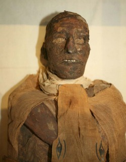 A forensic analysis carried out on the mummy of King Ramesses III has revealed that the pharaoh had his throat slit. The first CT scans to examine the king’s mummy reveal a cut to the neck deep enough to be fatal. The secret has been hidden for centuries