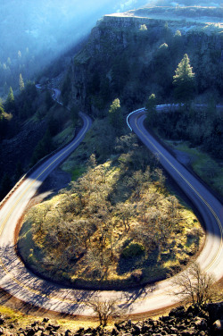travelingcolors:  Winding Road in Oregon