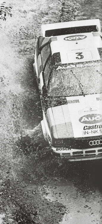 amjayes:  “We say it is about 330 bhp between 7,200 and 7,700 rpm but I must tell you these are strong Bavarian beer-carrying horses, not the smaller ones from Italy” - Audi´s Ferdinand Piëch on the new Quattro in 1982.