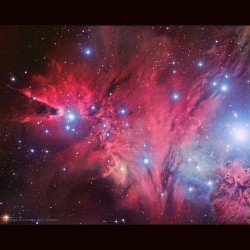 A Fox Fur, a Unicorn, and a Christmas Tree #nasa #apod #nebula #nebulae #unicorn #ngc2264 #universe #astronomy #space #science
